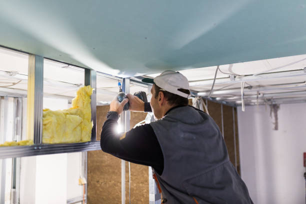 Best Eco-Friendly Insulation in Beaufort, NC